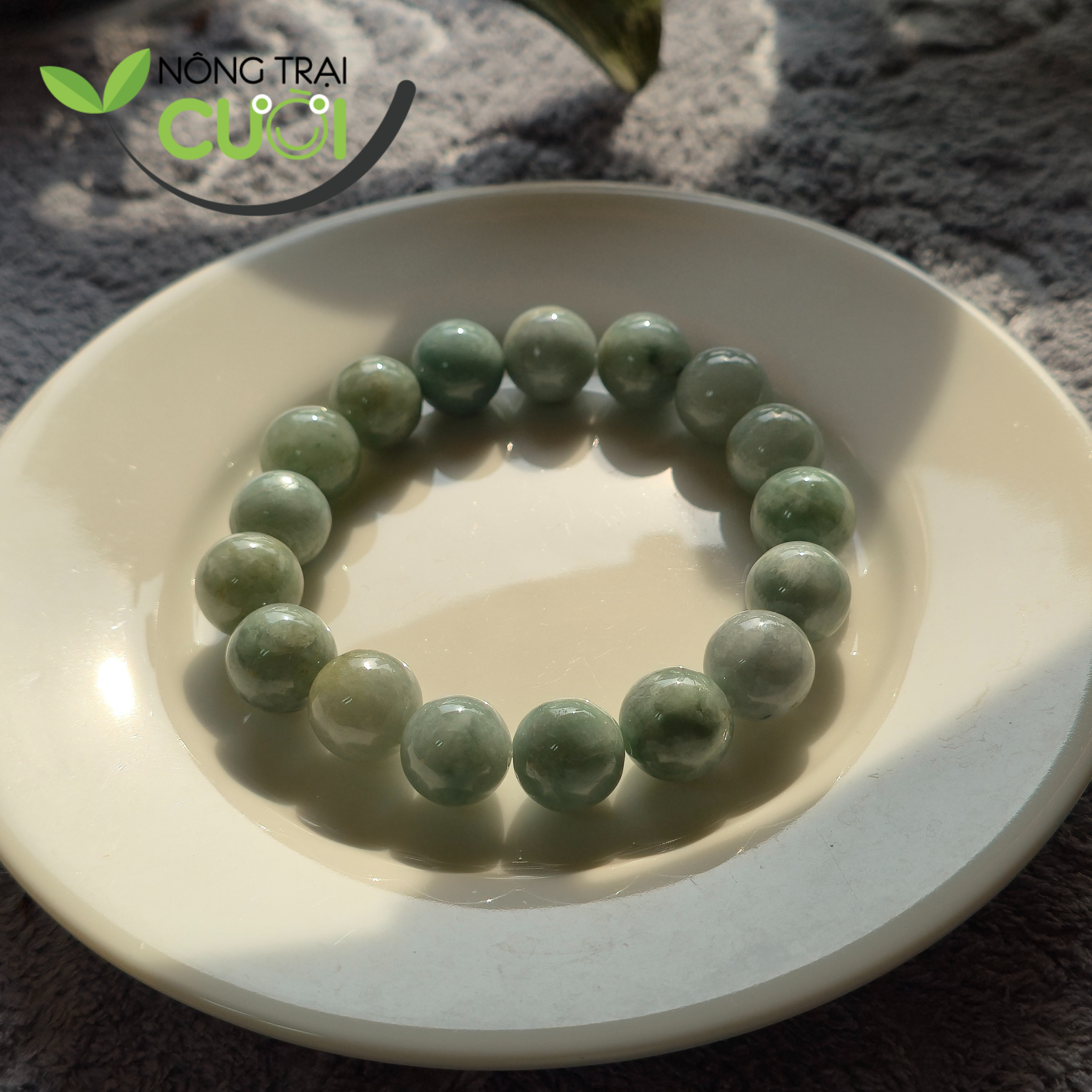 chuoi-cam-thach-to-02b-nong-trai-cuoi